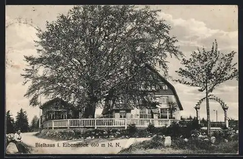 AK Bielhaus i. Eibenstock, Strassenpartie mit Häusern