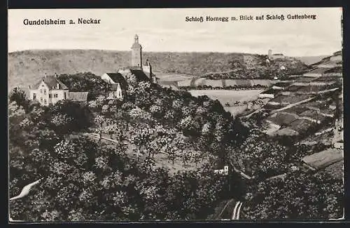 AK Gundelsheim a. Neckar, Schloss Hornegg m. Blick auf Schloss Guttenberg