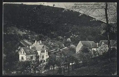AK Handschuhsheim, Blick auf das Hotel Siebenmühlental