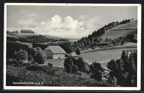 AK Nessellachen /Schwarzwald, Gasthaus u. Pension z. Rössle, Bes. Karl Gutzweiler