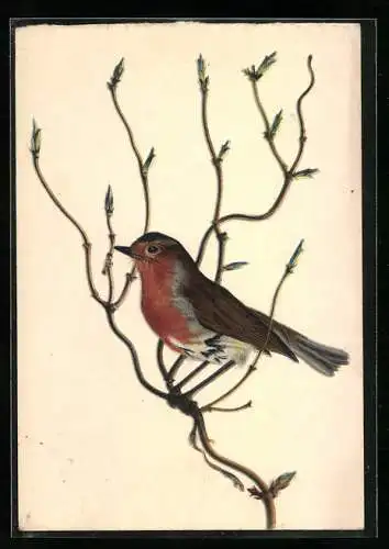 AK Rotkehlchen auf einem Ast