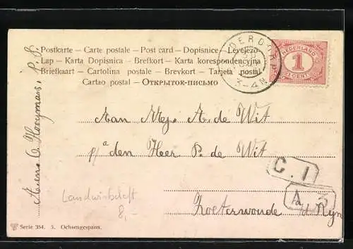 AK Ochsengespann am Wegrand