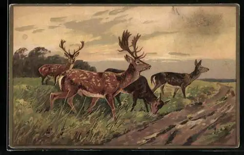 Künstler-AK Damhirsche überqueren einen Feldweg