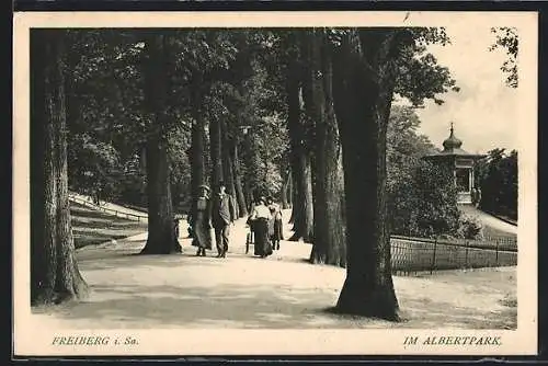 AK Freiberg i. Sa., Weg im Albertpark