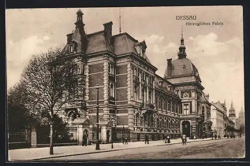 AK Dessau, Sicht auf Herzogliches Palais