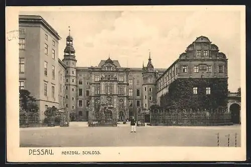 AK Dessau, Herzogl. Schloss, mit Wachsoldat