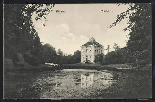 AK Dessau, Blick zum Louisium