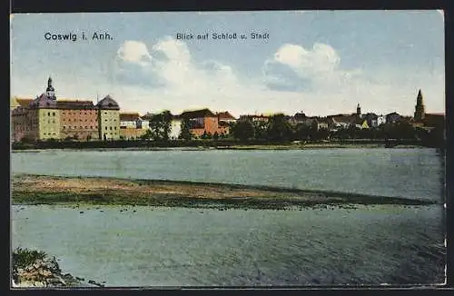 AK Coswig i. Anh., Blick auf Schloss und Stadt