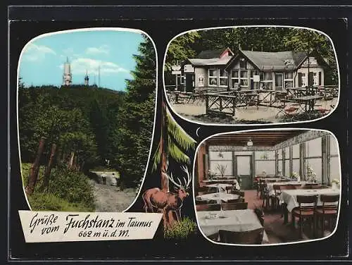 AK Fuchstanz im Taunus, Fuchstanz-Gaststätte, Bes. Hans Brendel