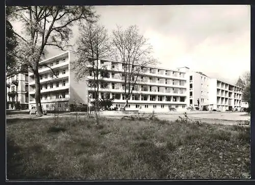 AK Bad Homburg v. d. H., Partie am Park-Sanatorium