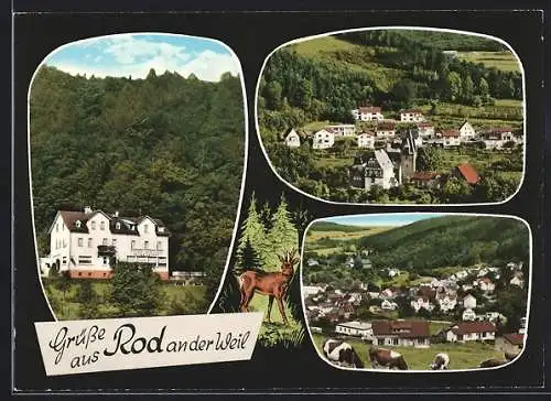 AK Rod an der Weil, Hotel-Pension Waldlust, Bes. W. u. E. Bund
