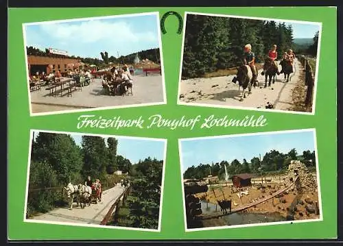 AK Wehrheim /Taunus, Freizeitpark Ponyhof Lochmühle, Bes. Theo Zwermann