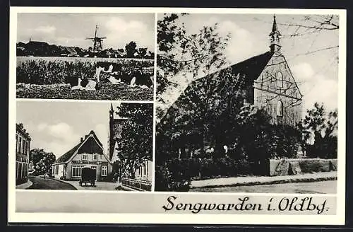AK Sengwarden, Blick auf die Kirche, Kuhweide mit Mühle, Strassenpartie