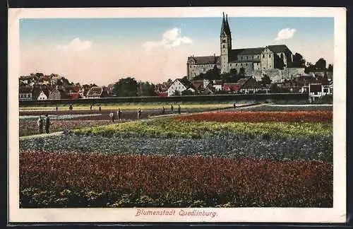 AK Quedlinburg, Ortsansicht mit Blumenmeer