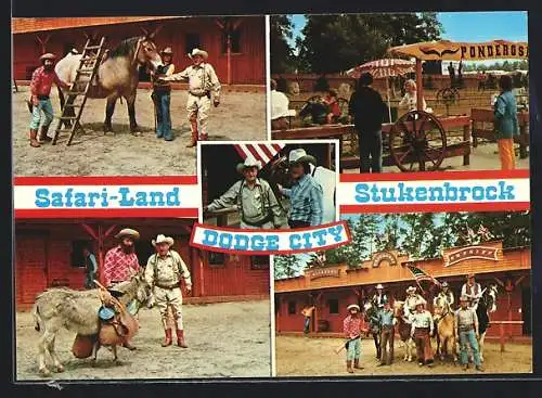 AK Stukenbrock / Senne, Senne-Grosswild-Safari-Land, verschiedene Ansichten