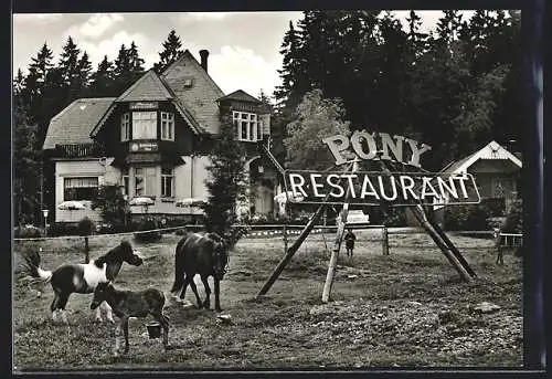AK Braunlage, Pony-Restaurant Harzfried, Inh. Anni Krempuls