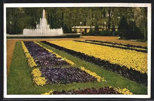 AK Dresden, Reichsgartenschau, Blick vom grossen Blumenparterre zur Leuchtfontäne