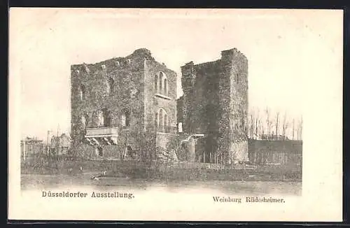 AK Düsseldorf, Düsseldorfer Ausstellung, Weinburg Rüdesheimer