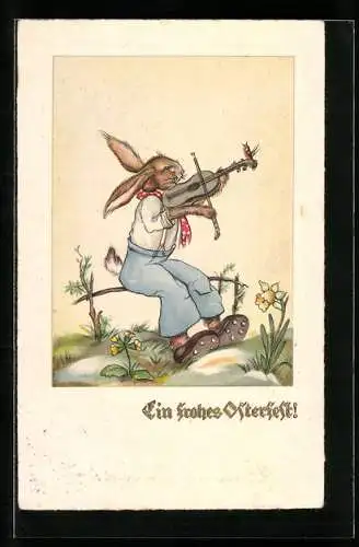 AK Osterhase spielt auf der Geige