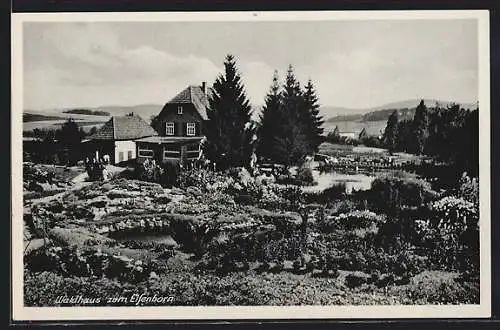 AK Stemmen / Weser, Waldhaus zum Elfenborn von P. Matthes