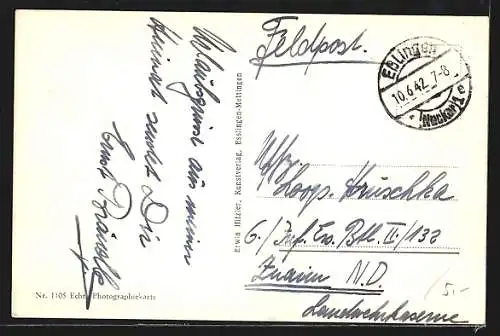 AK Esslingen / Neckar, Totalansicht