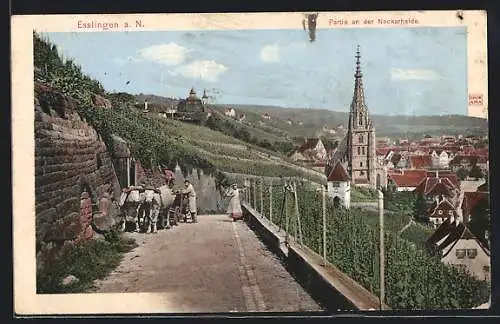 AK Esslingen / Neckar, Strassenpartie mit Ochsenkarren an der Neckarhalde