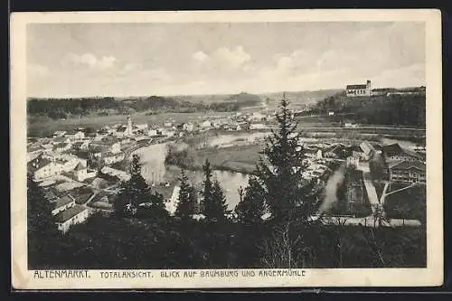 AK Altenmarkt / Alz, Totalansicht, Blick auf Baumburg und Angermühle