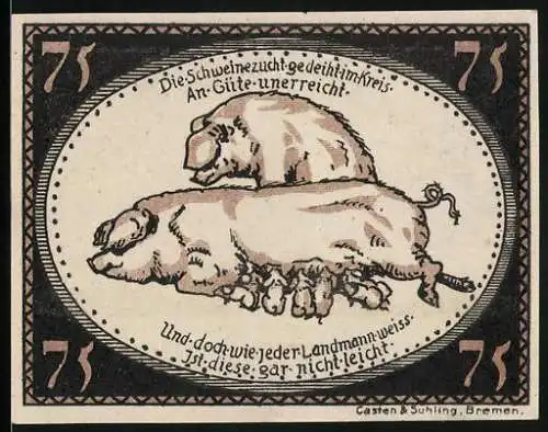 Notgeld Diepholz 1921, 75 Pfennig, Sau mit Ferkeln, Schweinezucht, Gutschein