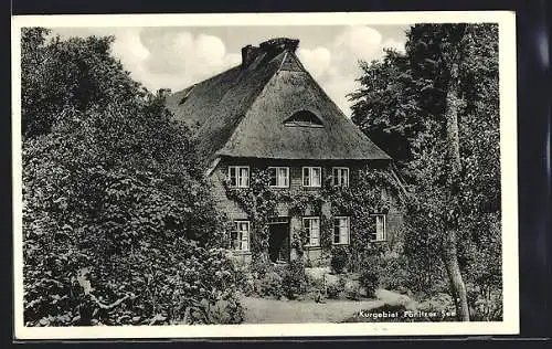 AK Pönitz / Scharbeutz, Pönitzer See, Reetdachhaus