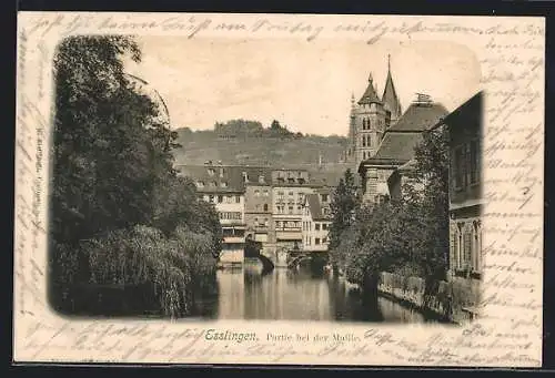 AK Esslingen / Neckar, Partie bei der Maille