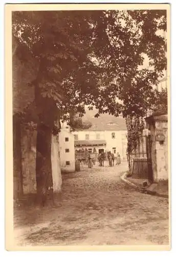 Fotografie unbekannter Fotograf, Ansicht Daubnitz, Hofeingang zu einem Gehöft mit Herrenhaus