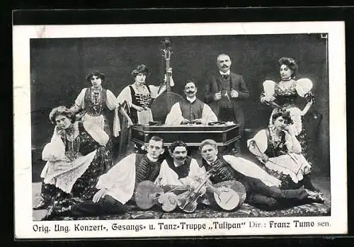 AK Orig. Ung. Konzert-, Gesangs- u. Tanz-Truppe Tulipan in Trachten, Geige, Laute, Kontrabass