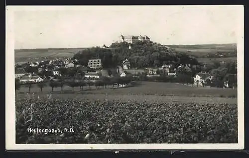 AK Neulengbach /N. Ö., Gesamtansicht von einem Acker aus