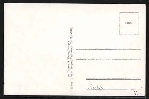 AK Belgrad, Hängebrücke König Alexander I.