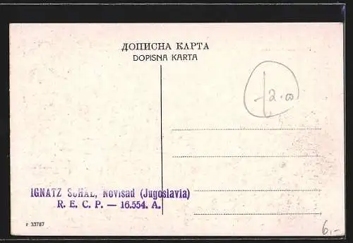 AK Novi Sad, Trg Oslobodjenja