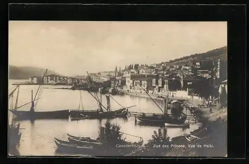 AK Constantinople, Iles des Princes, Vue de Halki