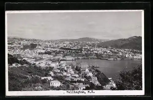 AK Wellington, Panorama
