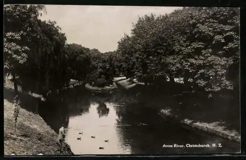 AK Christchurch, Avon River