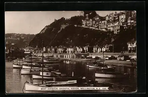 AK Wellington, Boat Harbour, Oriental Parade