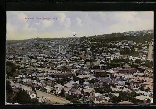 AK Dunedin, View from Gardens Hill