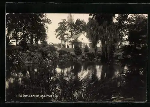 AK Auckland, In the Domain