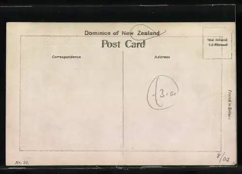 AK Duendin-Caversham, Panorama