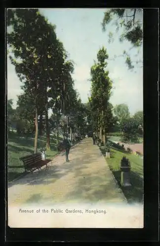 AK Hongkong, Avenue of the Public Gardens