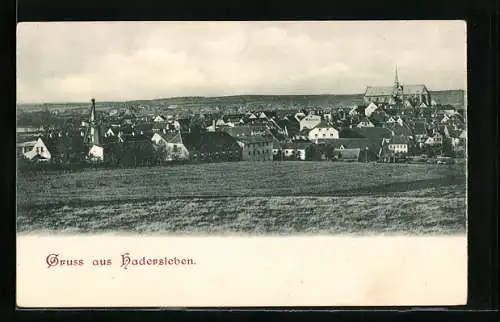 AK Hadersleben, Blick über die Dächer