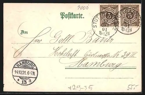 Passepartout-Lithographie Stuttgart, Königsbau, Königsstrasse, Altes Schloss