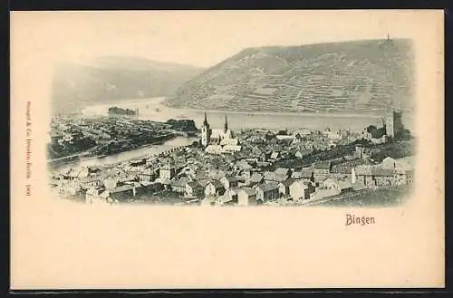 AK Bingen / Rhein, Ortspanorama