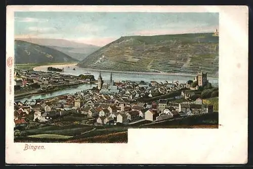 AK Bingen / Rhein, Totalansicht
