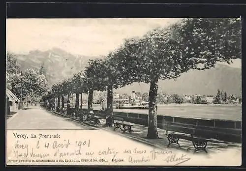 AK Vevey, La Promenade