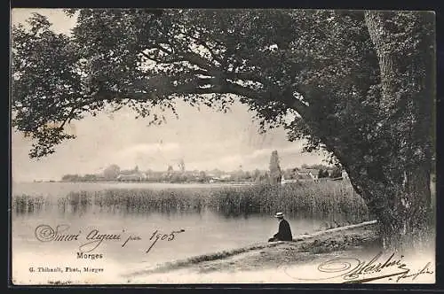 AK Morges, Uferpartie mit Mann und Baum