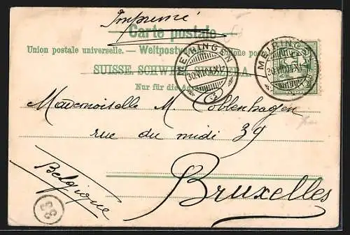 AK Meyringen, Strassenpartie mit Bergen